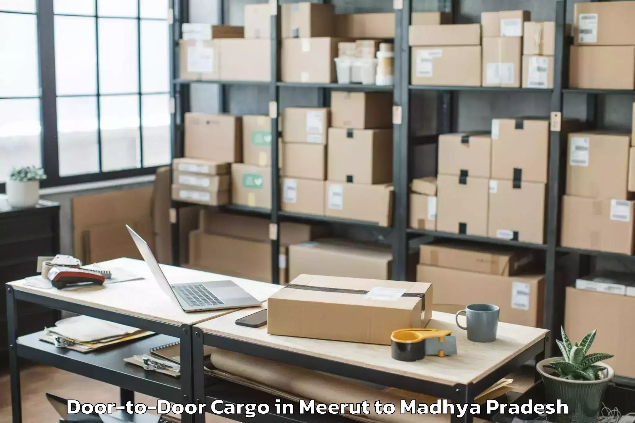 Top Meerut to Harpalpur Door To Door Cargo Available